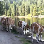 דירה Almhaus Bluemel *