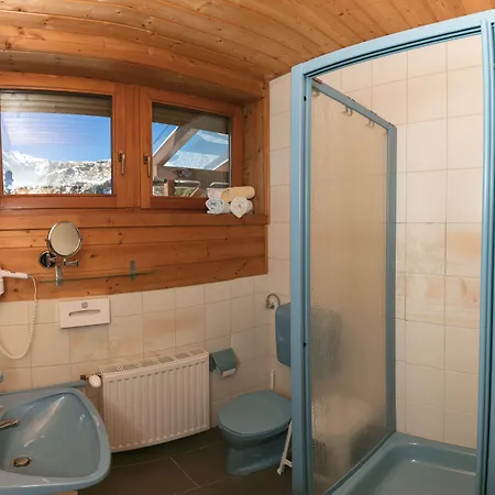 Almhaus Bluemel شقة تراشر هوهه