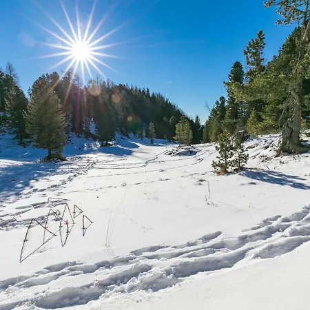 شقة Almhaus Bluemel تراشر هوهه