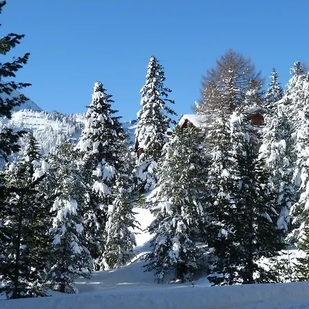 Almhaus Blümel Apartment Turracher Hohe