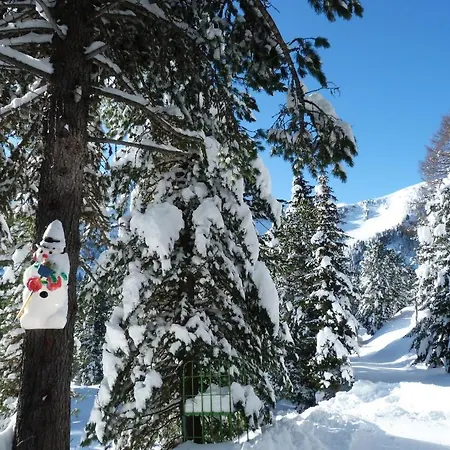 Apartament Almhaus Bluemel Turracher Hohe