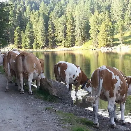 Apartment Almhaus Blümel *