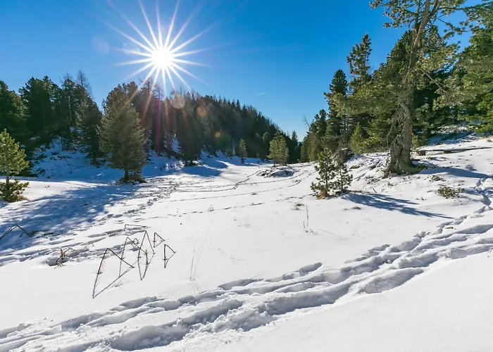 Lejlighed Almhaus Bluemel Turracher Hohe