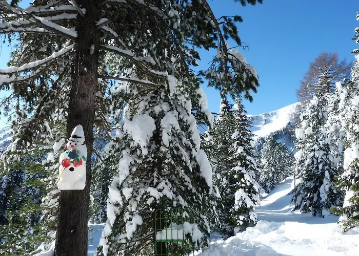 Lejlighed Almhaus Bluemel Turracher Hohe