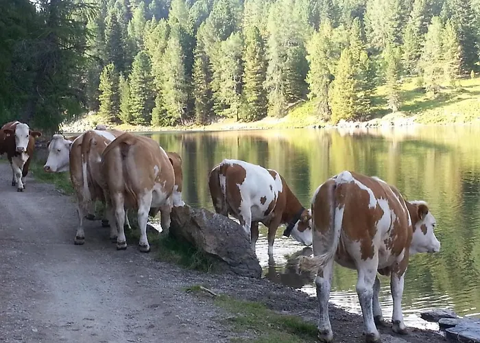 Lejlighed Almhaus Bluemel *